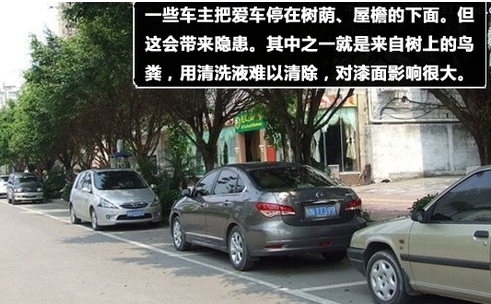 驾校不教的知识 告诉你停车时如何不让爱车受损