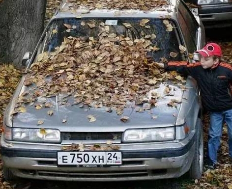 你知道吗?一片落叶很可能毁掉您的爱车