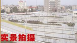 安庆鸿盛驾校